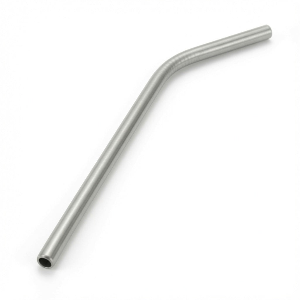 Stainless Steel Straw Set (4-Piece with Cleaning Brush)
